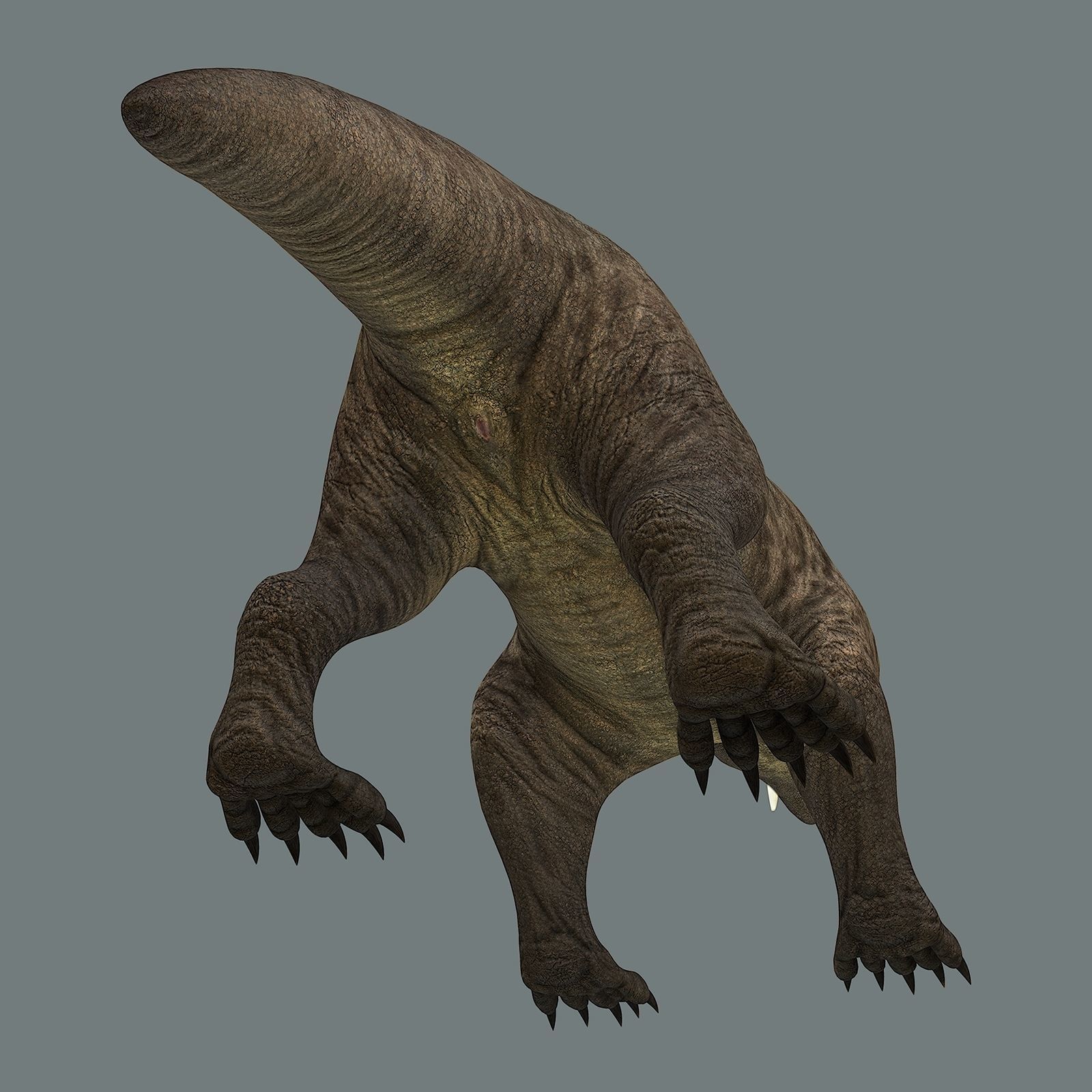 Inostrancevia Low-poly 3D model_20