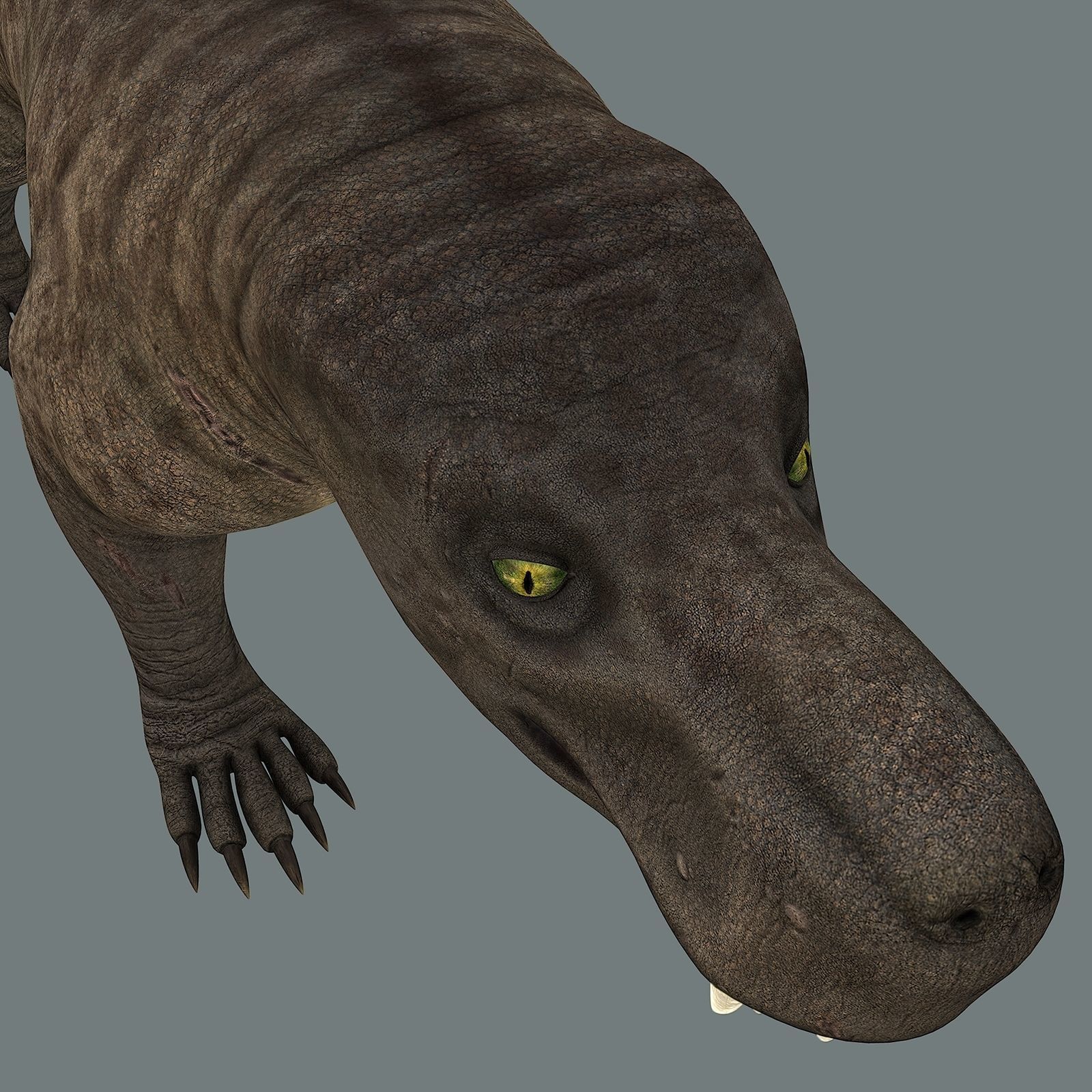 Inostrancevia Low-poly 3D model_26