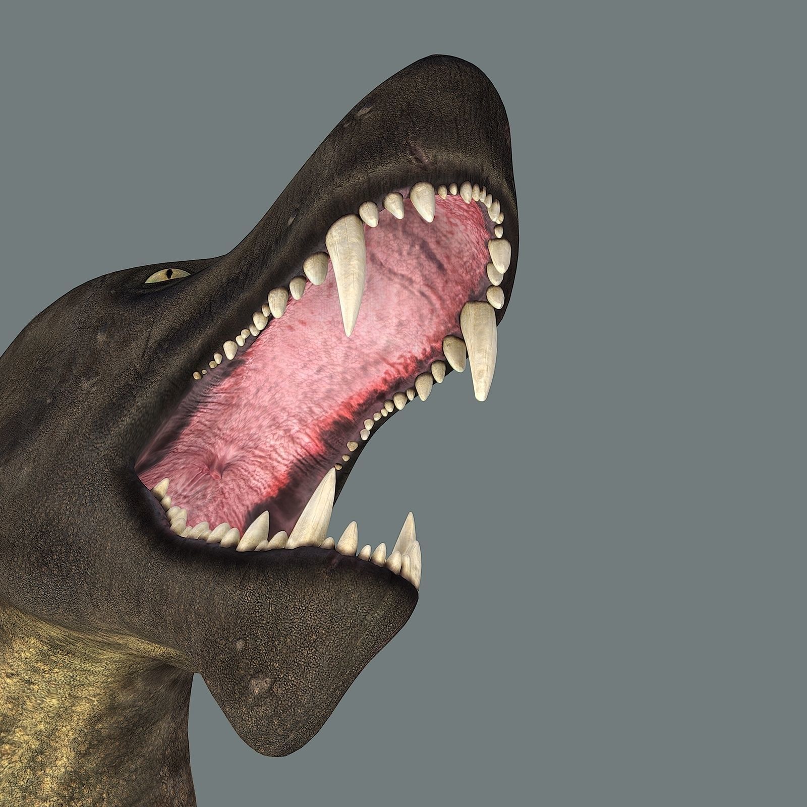 Inostrancevia Low-poly 3D model_33