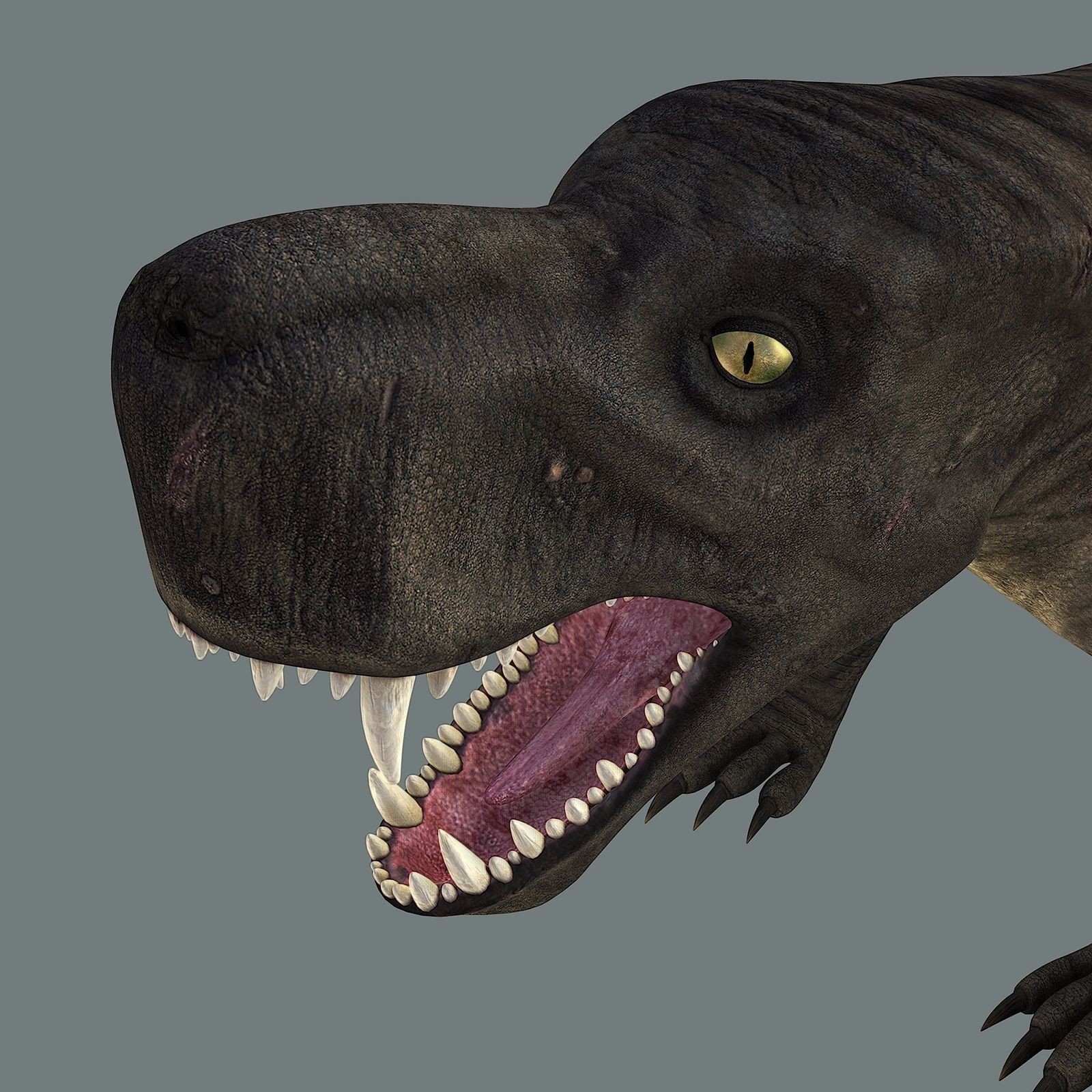 Inostrancevia Low-poly 3D model_2