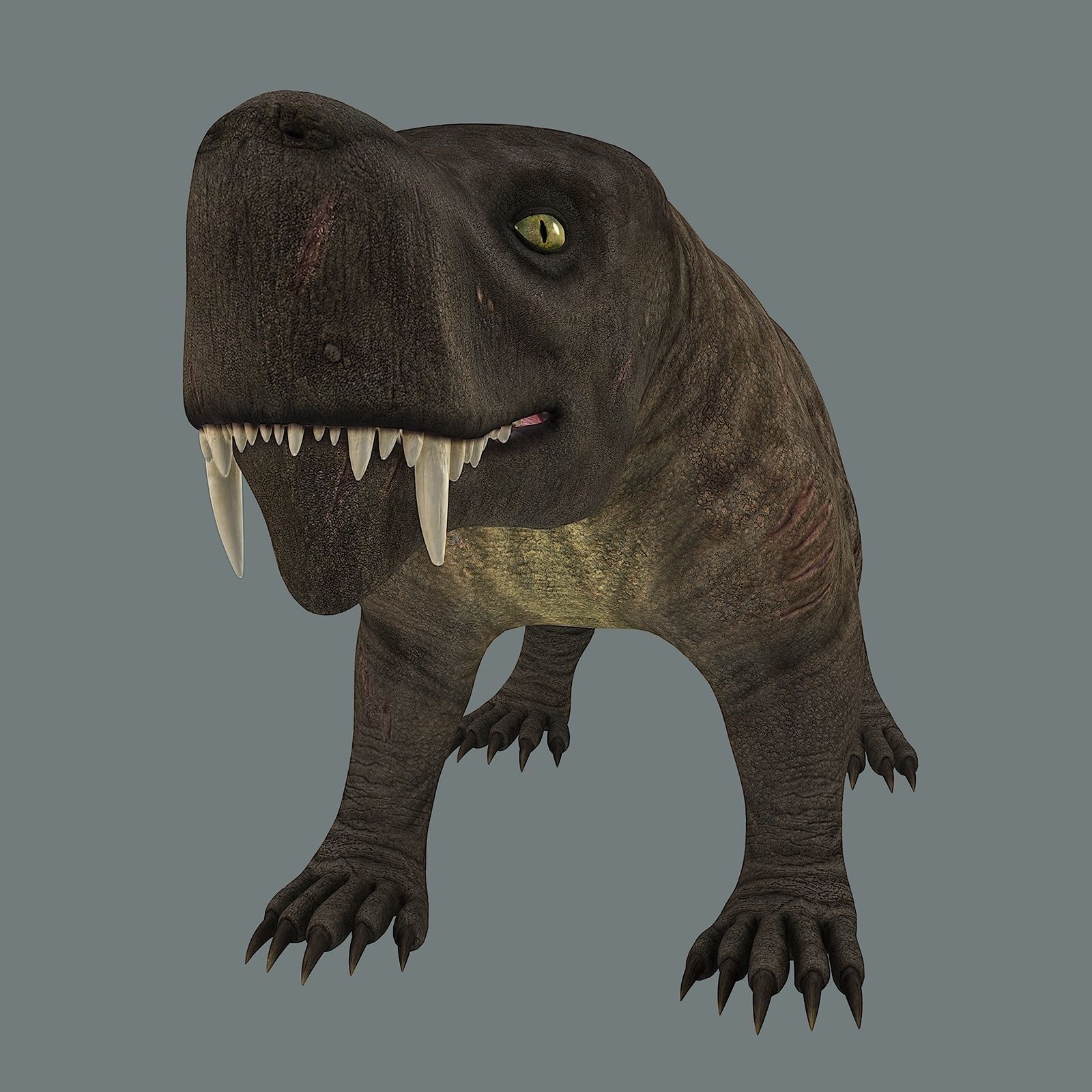 Inostrancevia Low-poly 3D model_14