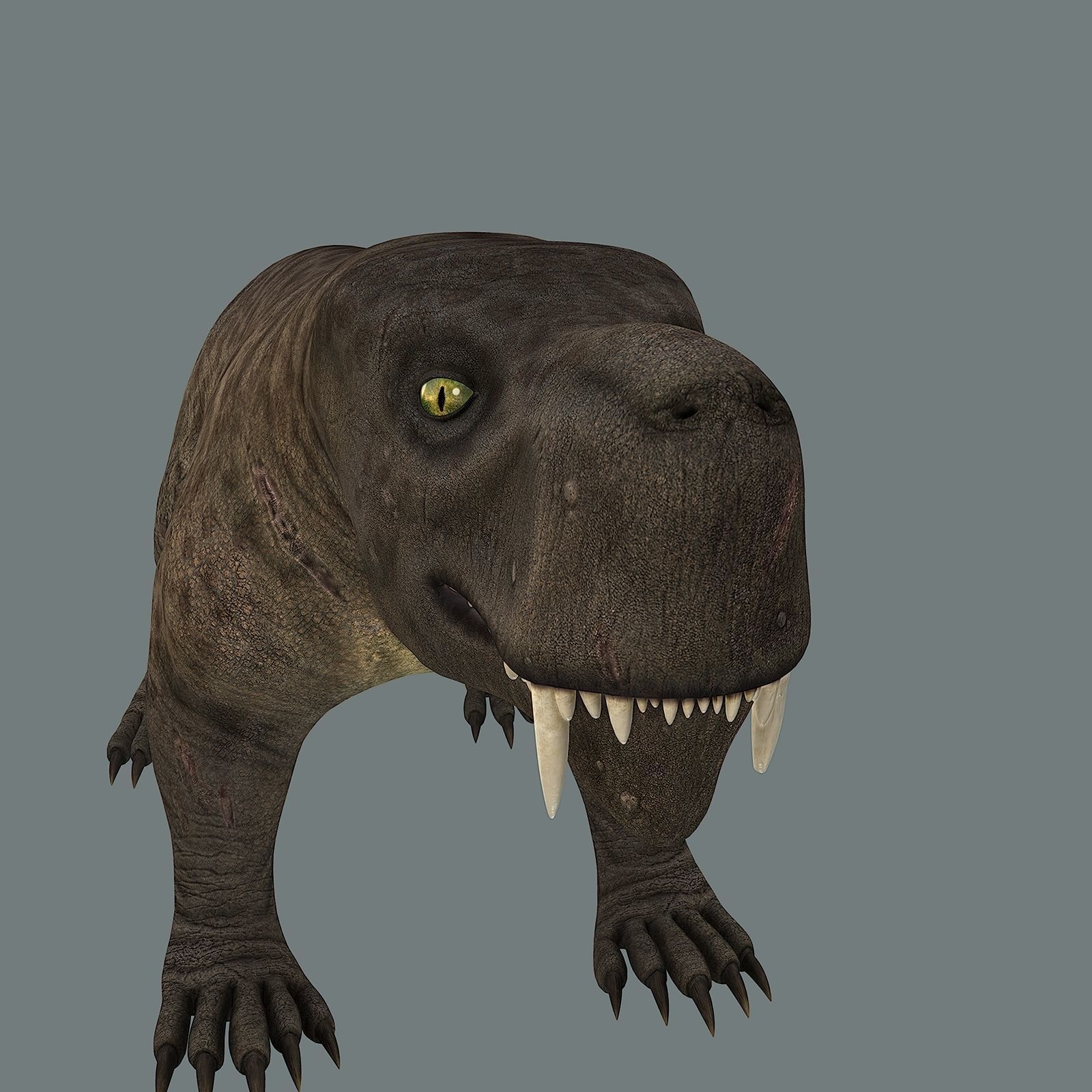 Inostrancevia Low-poly 3D model_13