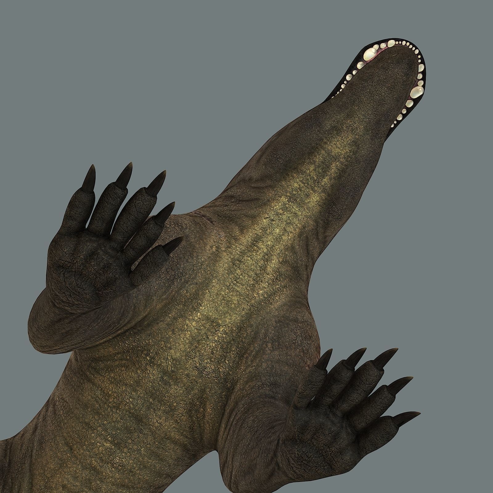 Inostrancevia Low-poly 3D model_12