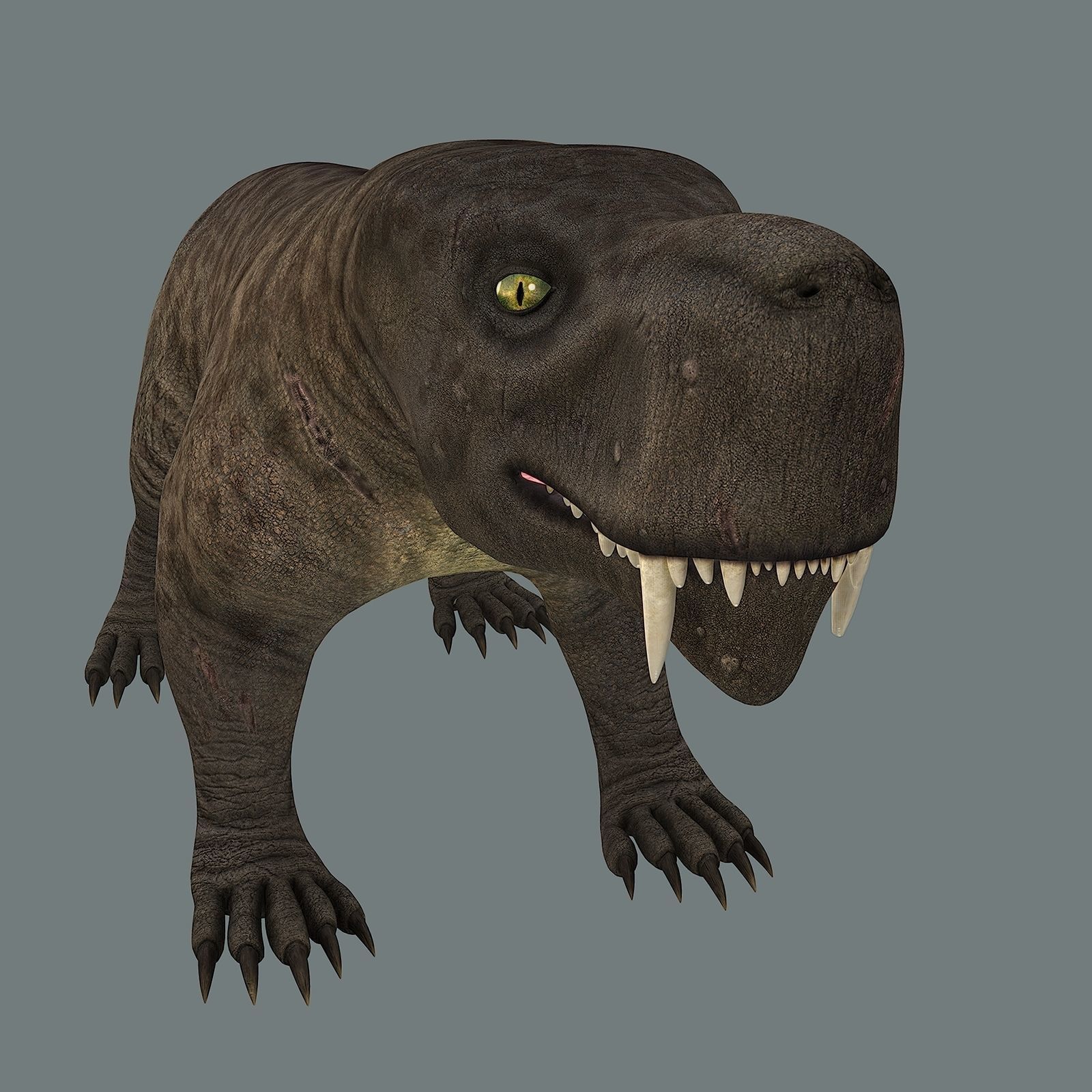 Inostrancevia Low-poly 3D model_3