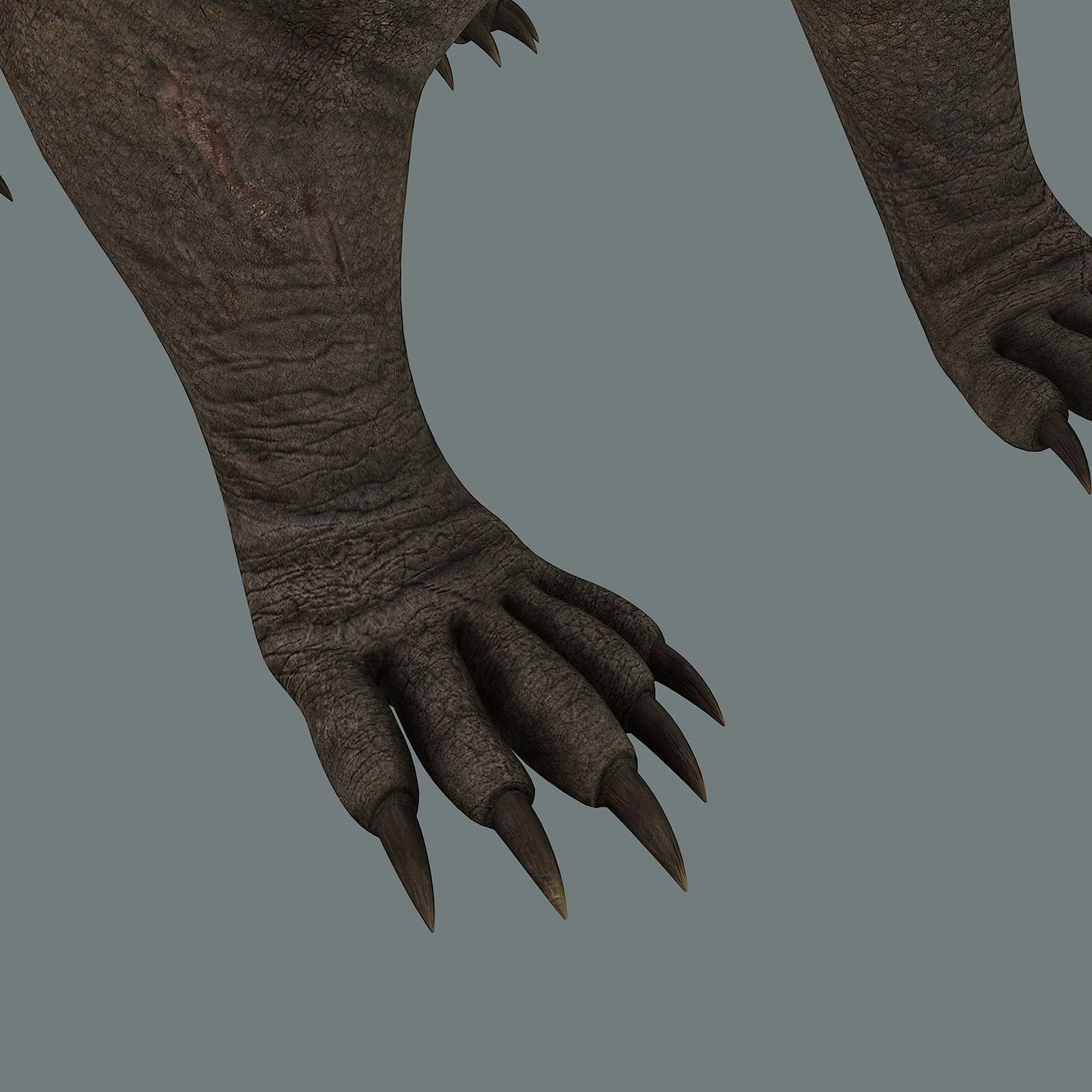 Inostrancevia Low-poly 3D model_17