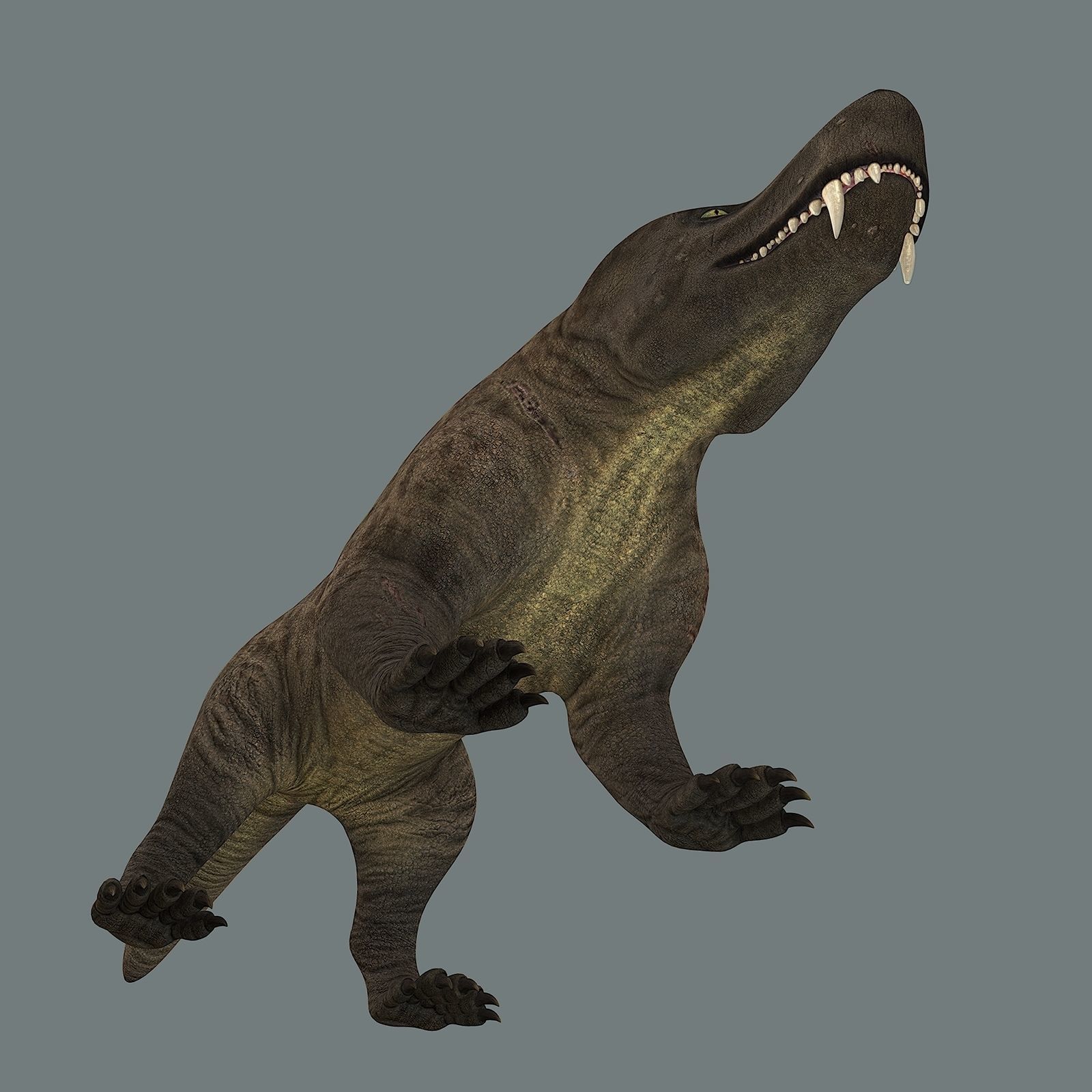 Inostrancevia Low-poly 3D model_28