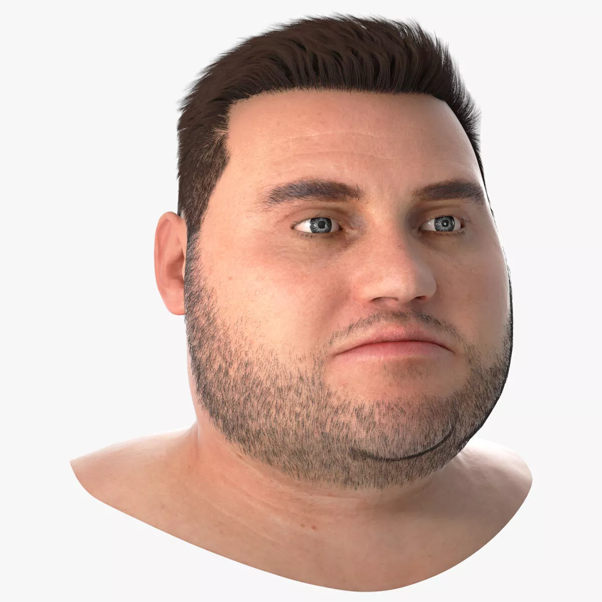 Full-Faced Male Head Bust Fur 3D model