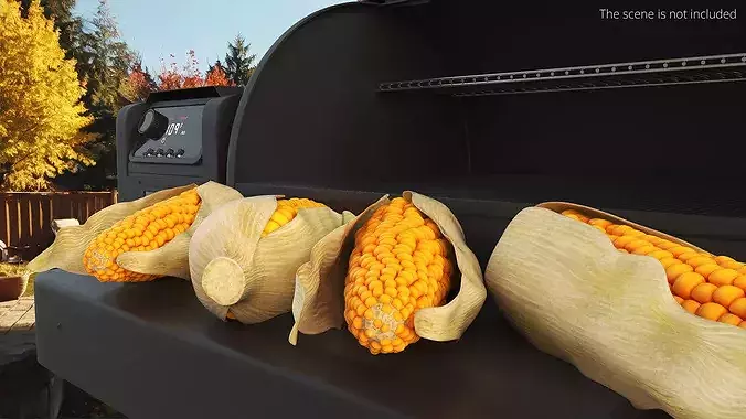 Corn Cob in Natural Husk Fur 3D model 2