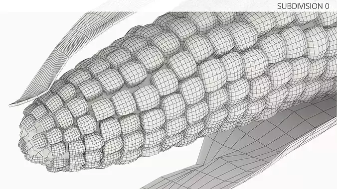 Corn Cob in Natural Husk Fur 3D model 6
