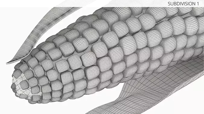 Corn Cob in Natural Husk Fur 3D model 7