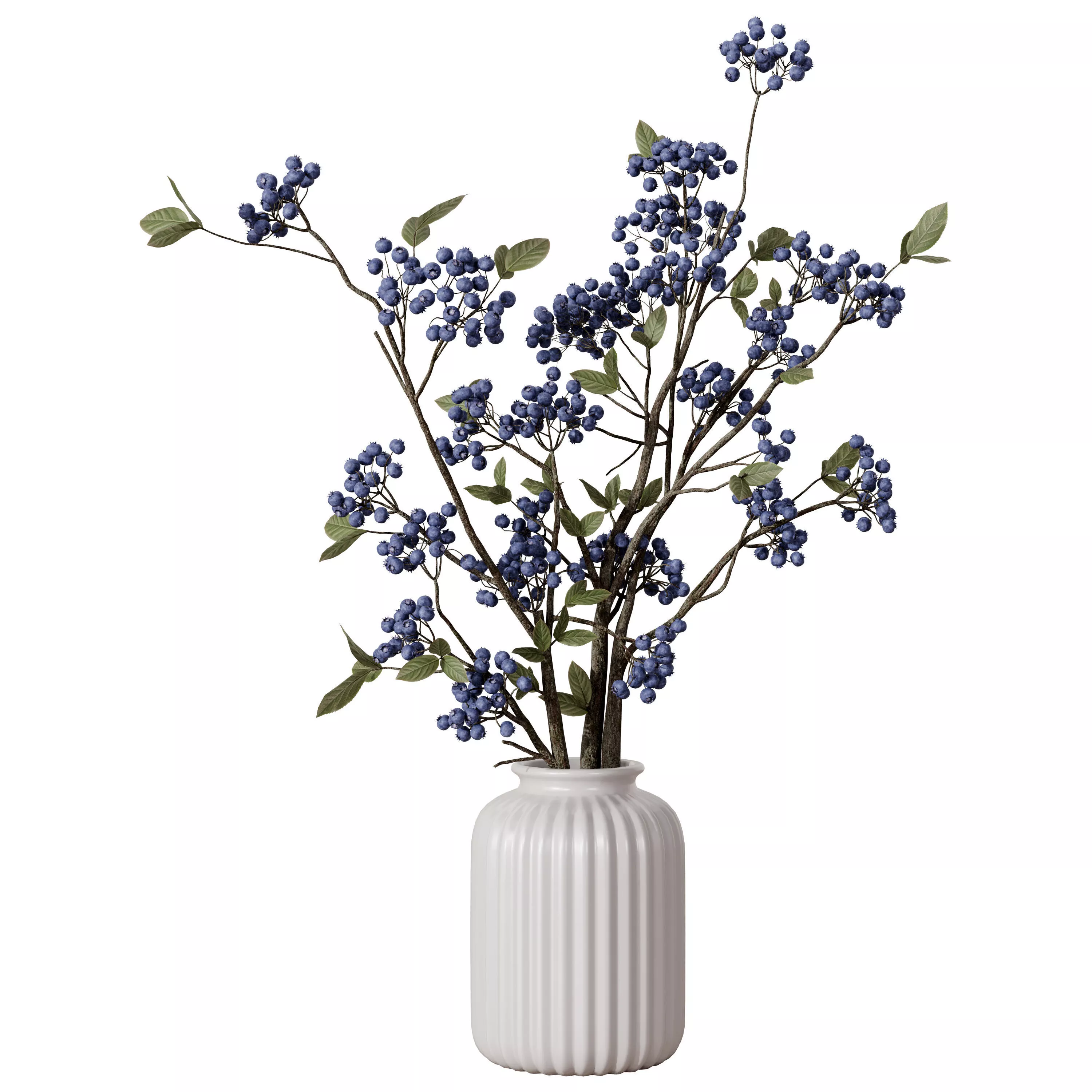 Decorative Blueberry Branches in White Ribbed Vase 3D model