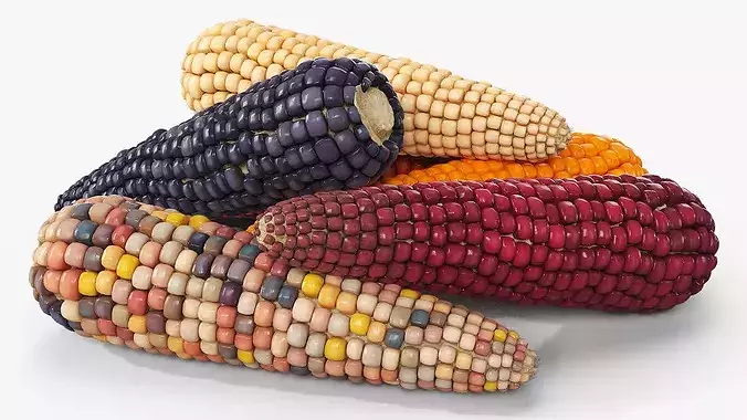 Mixed Maize Ears Without Husks Piled Fur 3D model 4