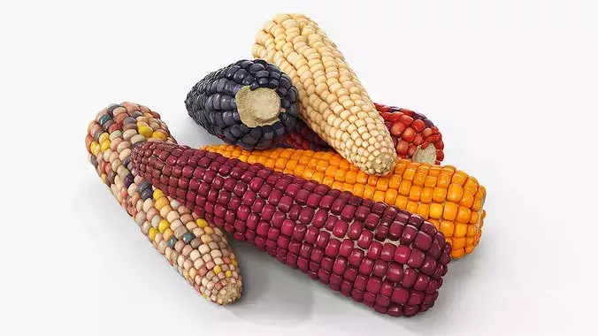 Mixed Maize Ears Without Husks Piled Fur 3D model 2