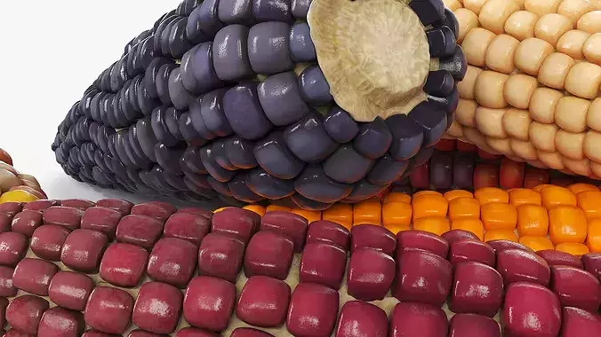 Mixed Maize Ears Without Husks Piled Fur 3D model 7