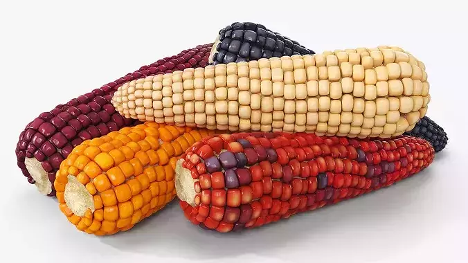 Mixed Maize Ears Without Husks Piled Fur 3D model