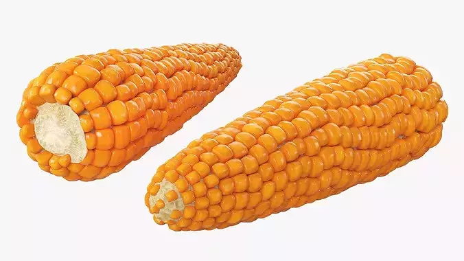 Raw Maize Ear Shelled Fur 3D model