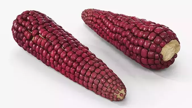 Bicolor Corn Cob Without Husk Fur 3D model 2