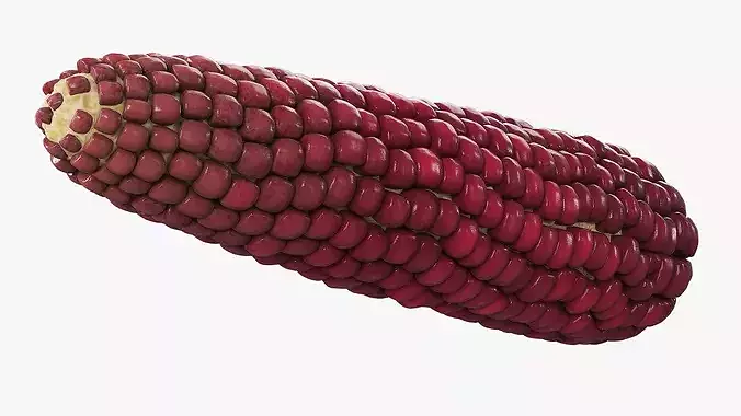 Bicolor Corn Cob Without Husk Fur 3D model