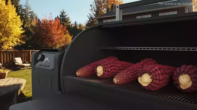 Bicolor Corn Cob Without Husk Fur 3D model 3