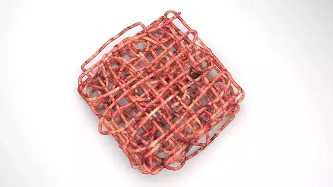 Minced Beef 3D model 4