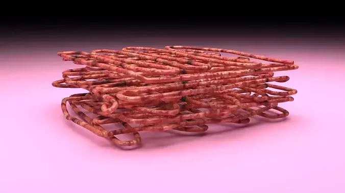 Minced Beef 3D model 6