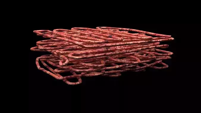 Minced Beef 3D model 7