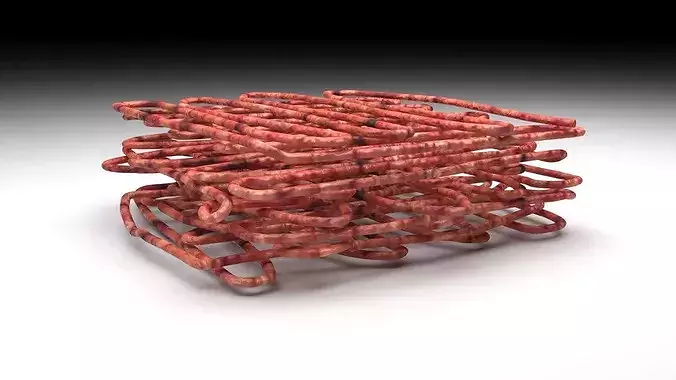 Minced Beef 3D model 5