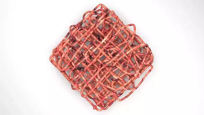 Minced Beef 3D model 2