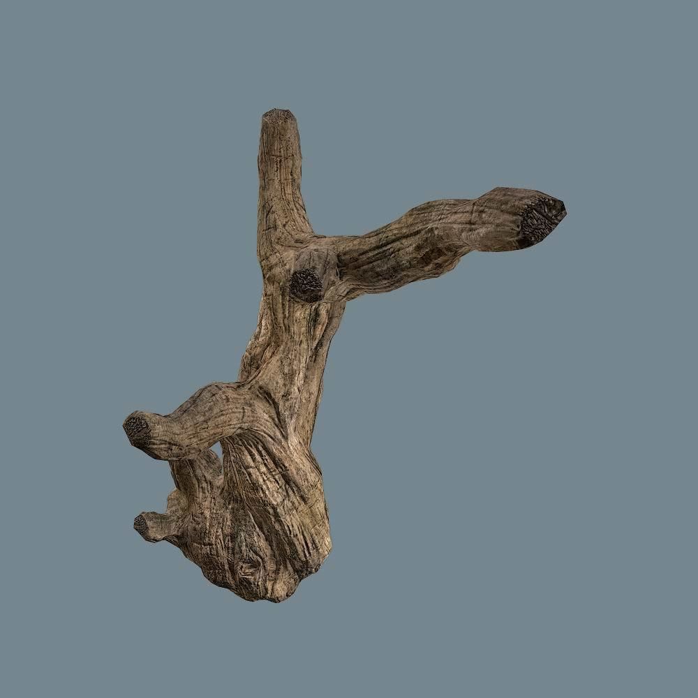 Snag 02 Low-poly 3D model_15