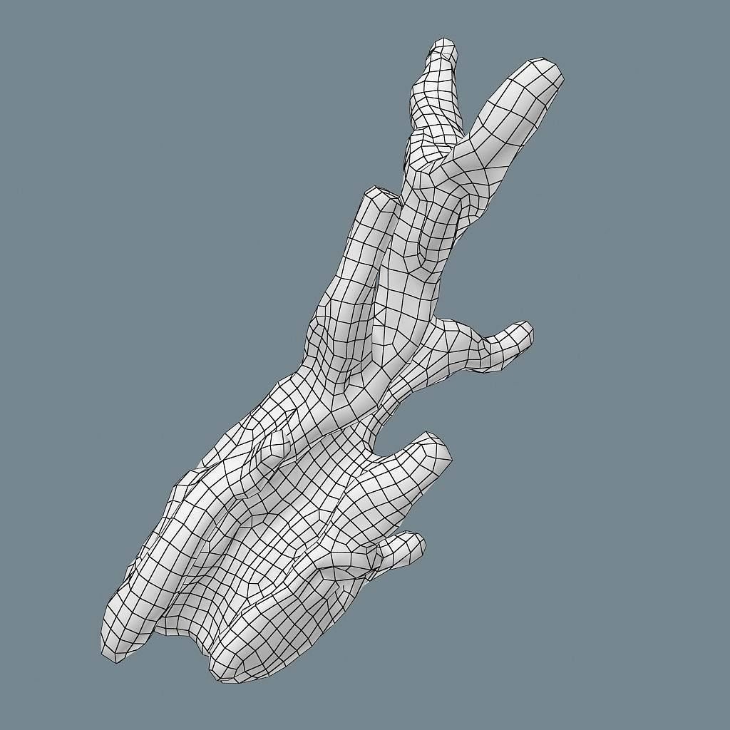 Snag 02 Low-poly 3D model_25