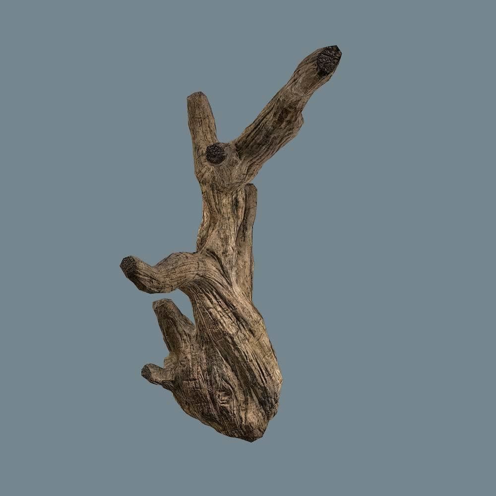 Snag 02 Low-poly 3D model_11