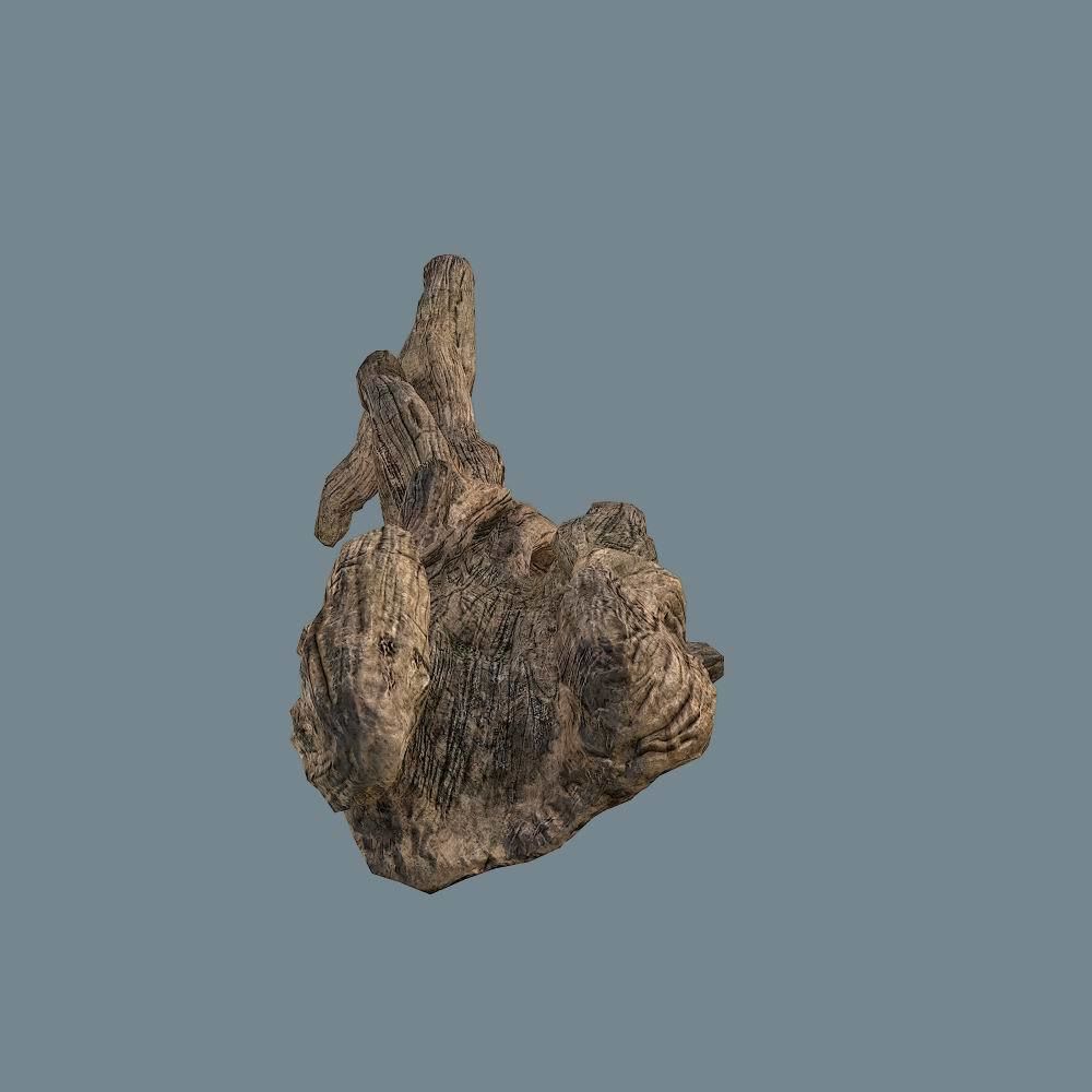 Snag 02 Low-poly 3D model_6
