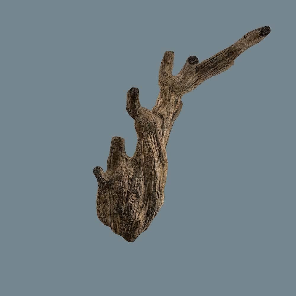 Snag 02 Low-poly 3D model_12