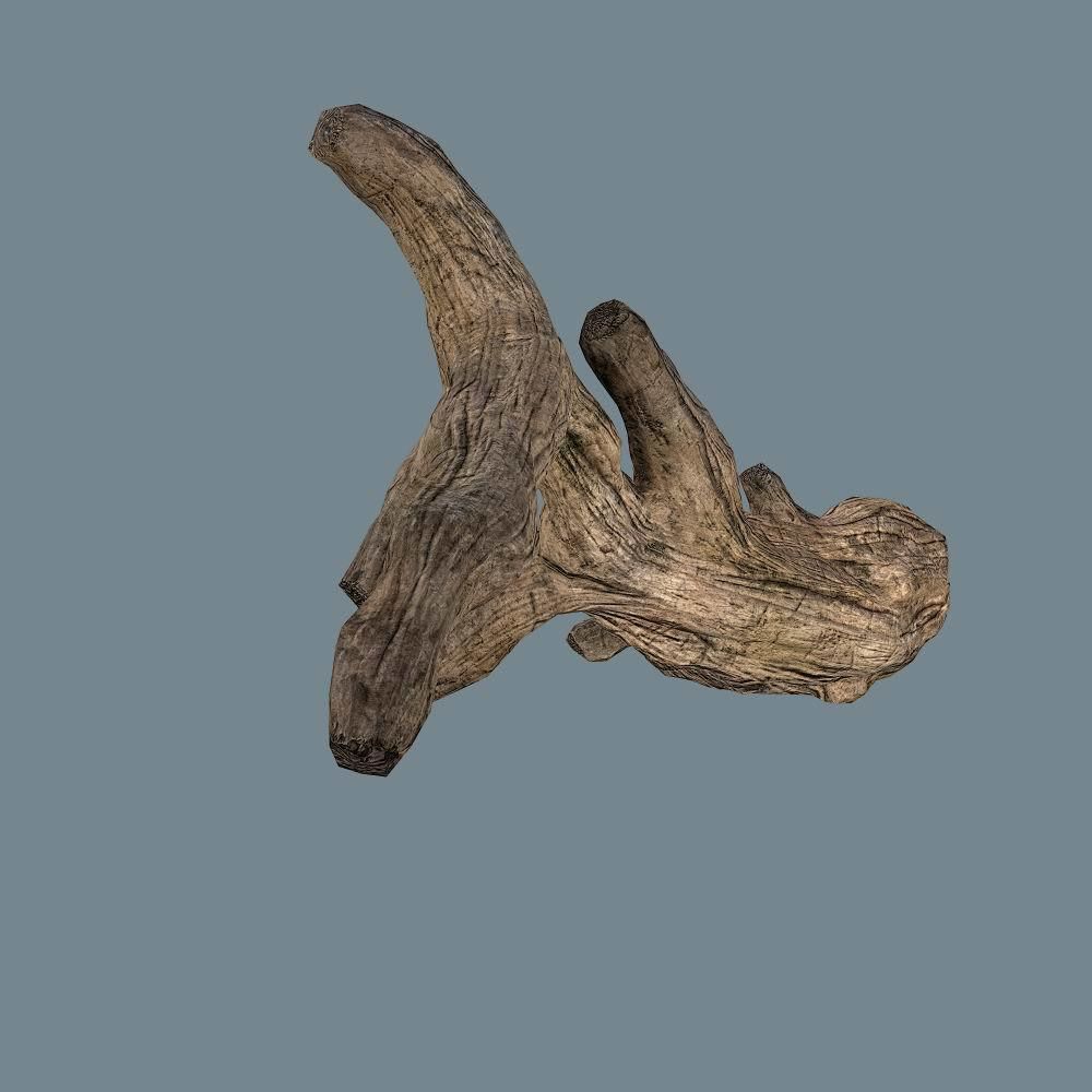 Snag 02 Low-poly 3D model_10