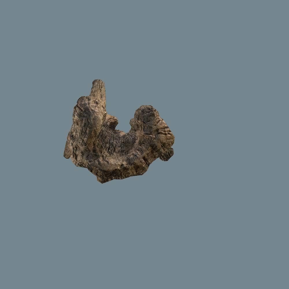 Snag 02 Low-poly 3D model_8