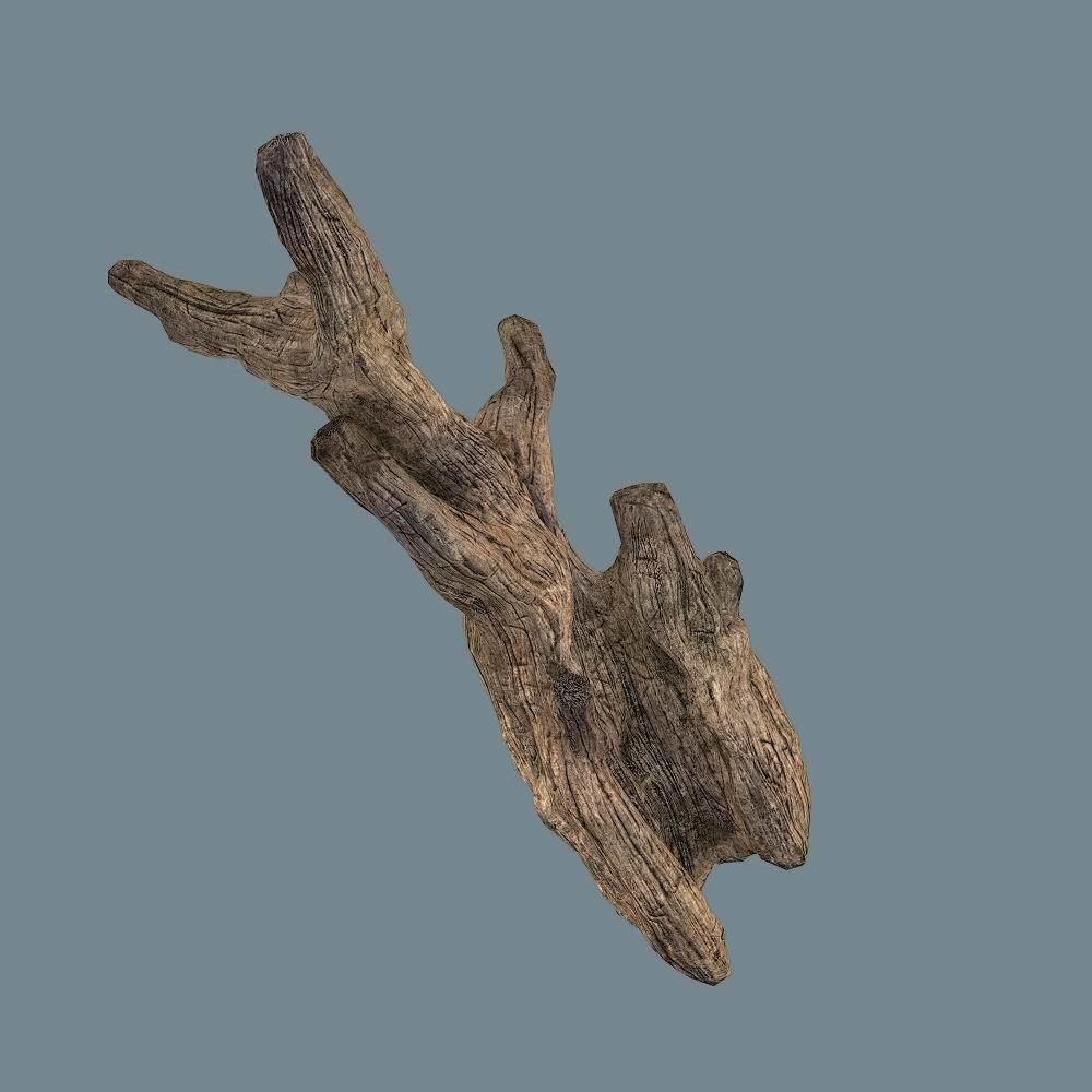 Snag 02 Low-poly 3D model_17