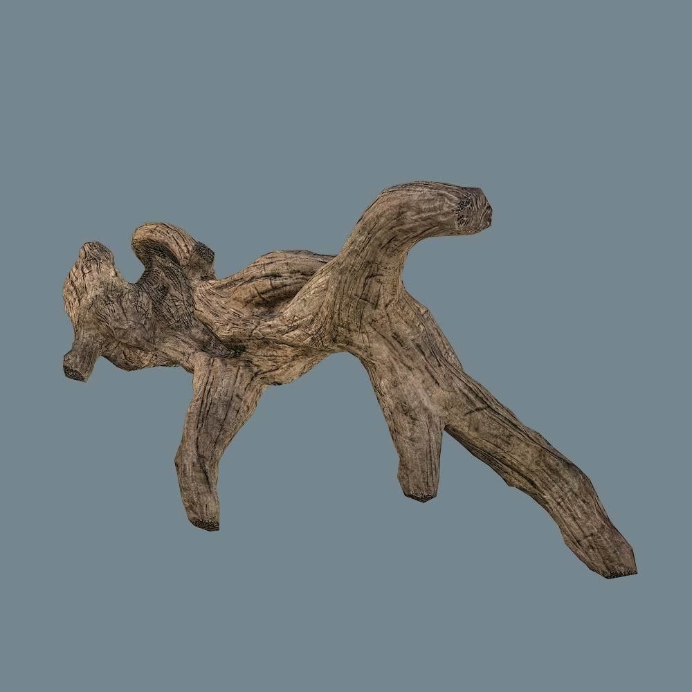 Snag 02 Low-poly 3D model_16