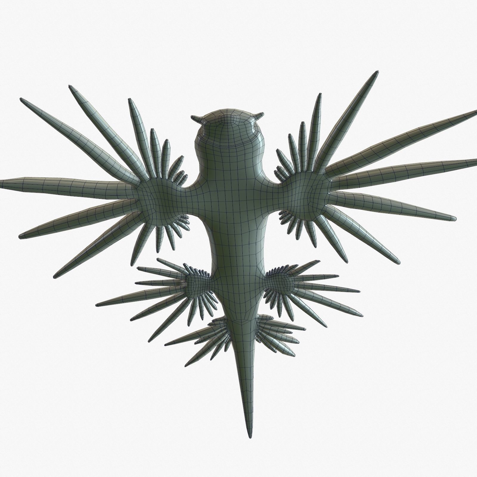 Glaucus atlanticus Low-poly 3D model_14
