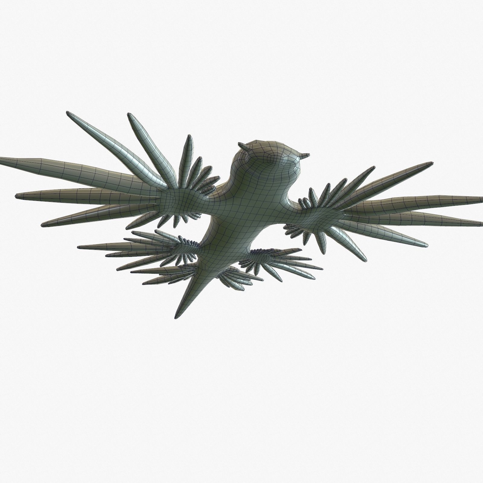 Glaucus atlanticus Low-poly 3D model_18