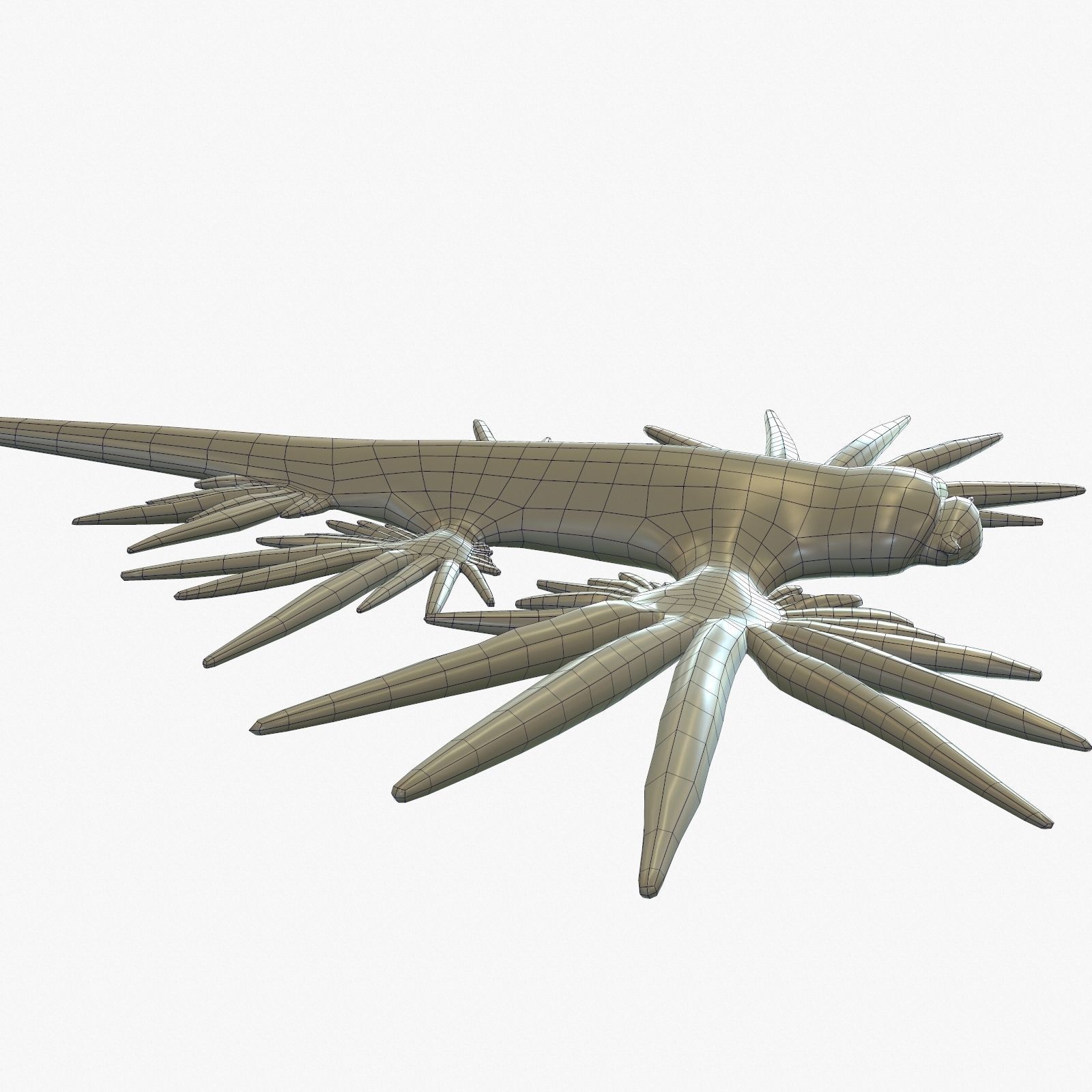 Glaucus atlanticus Low-poly 3D model_19