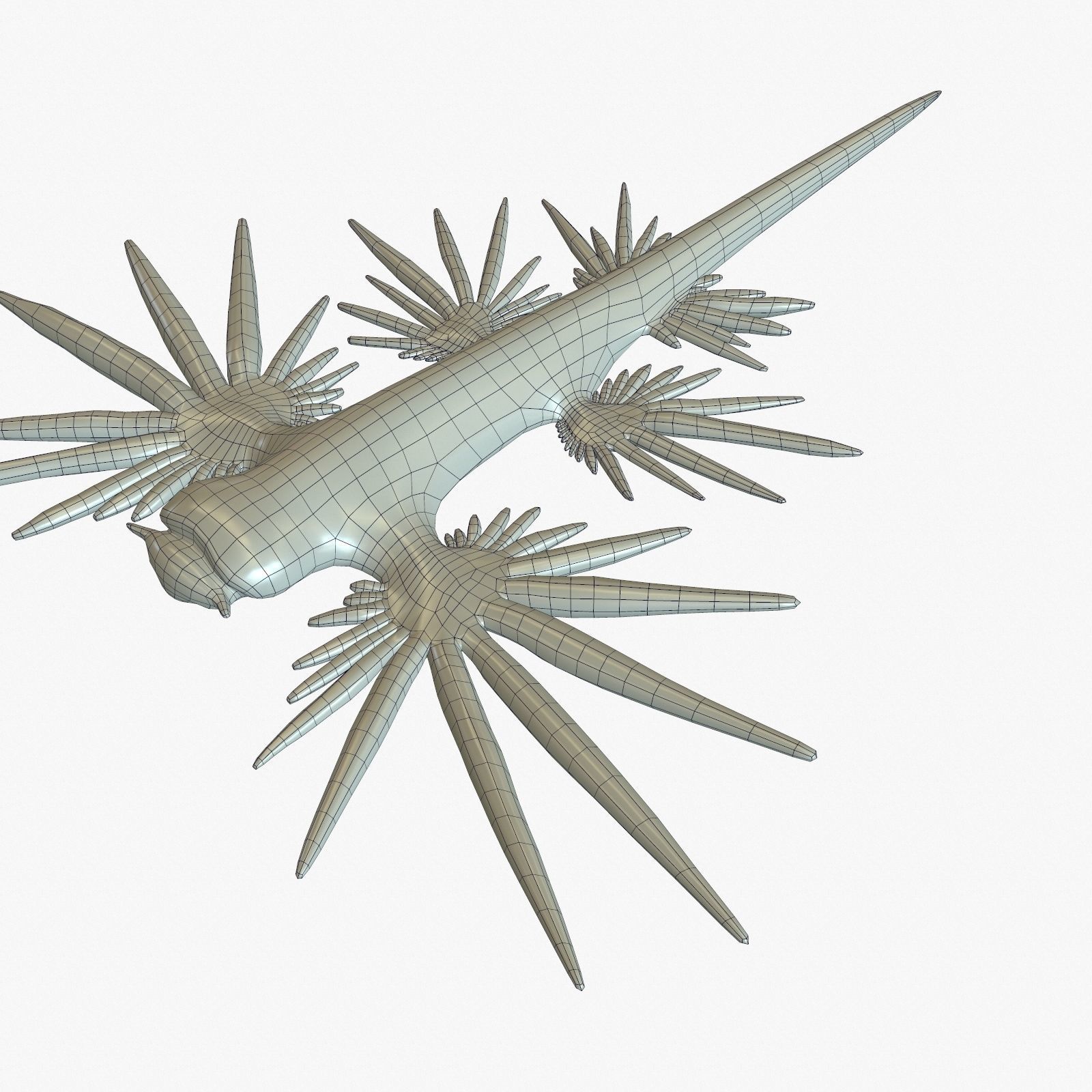 Glaucus atlanticus Low-poly 3D model_11