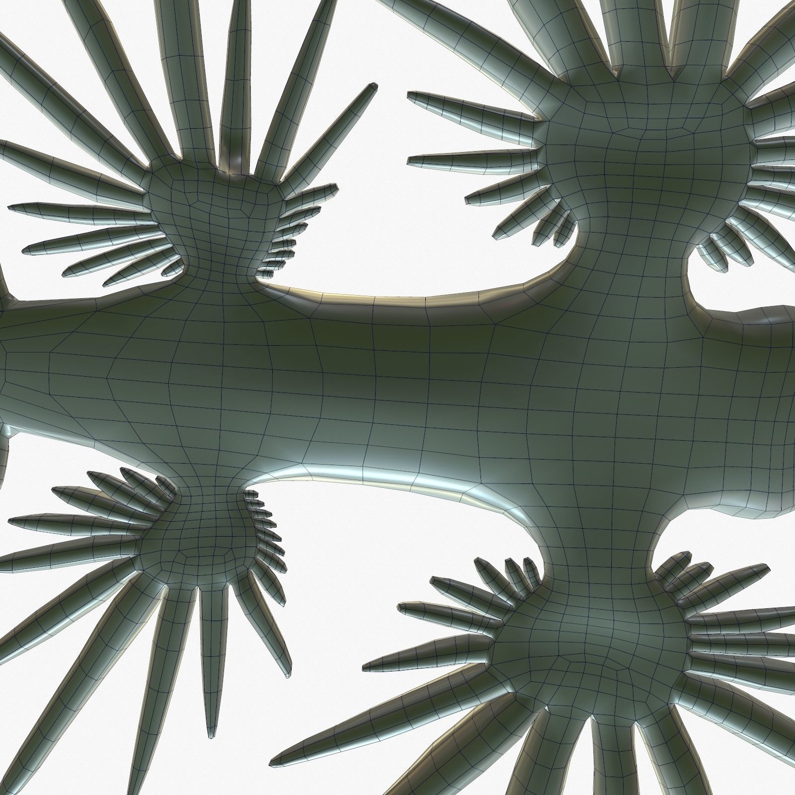 Glaucus atlanticus Low-poly 3D model_17