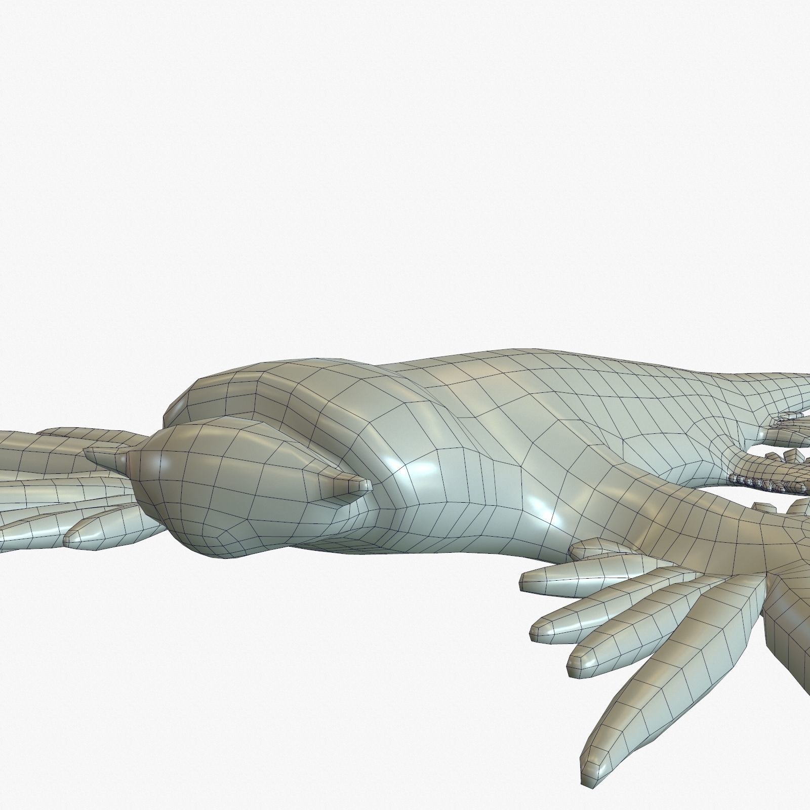 Glaucus atlanticus Low-poly 3D model_20