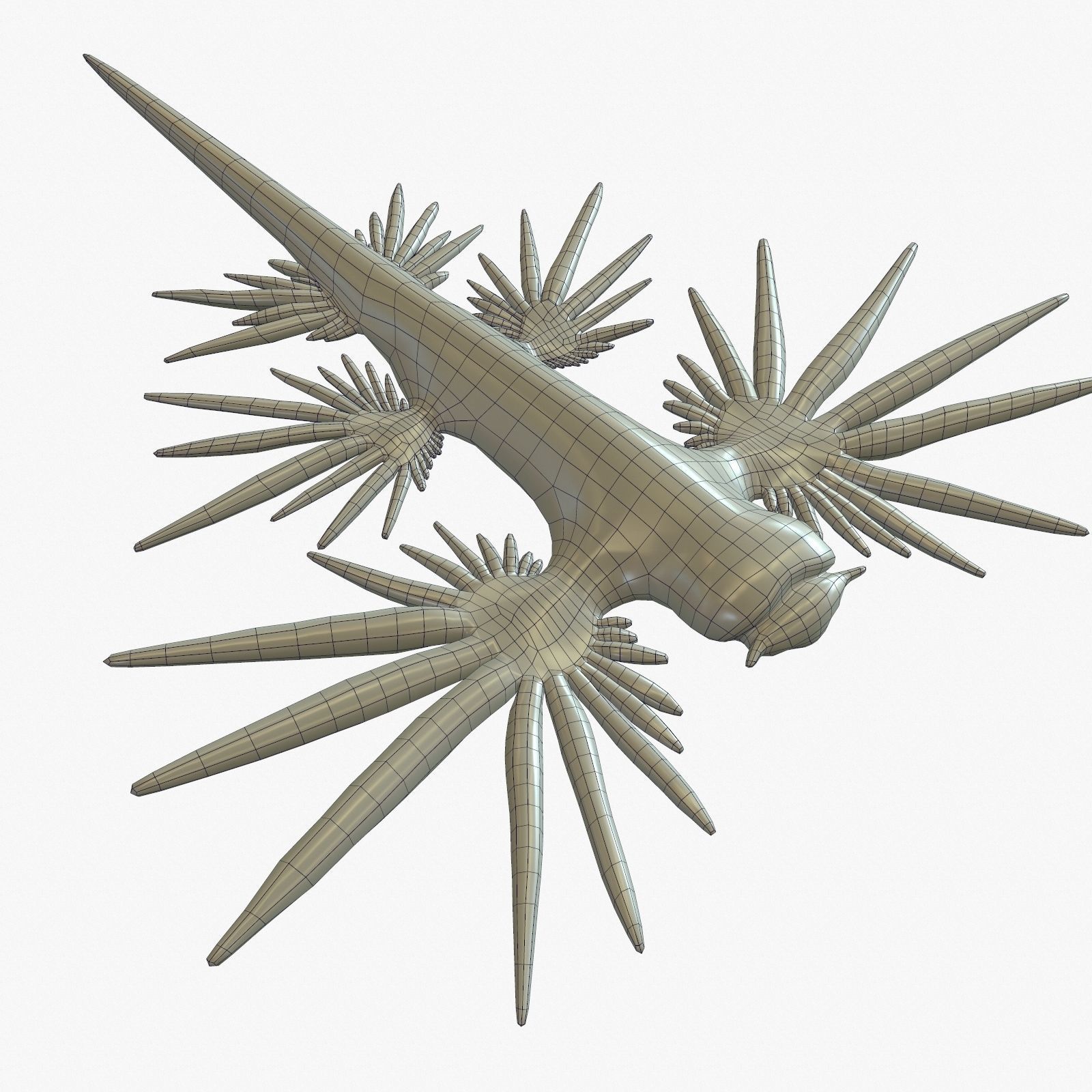 Glaucus atlanticus Low-poly 3D model_13