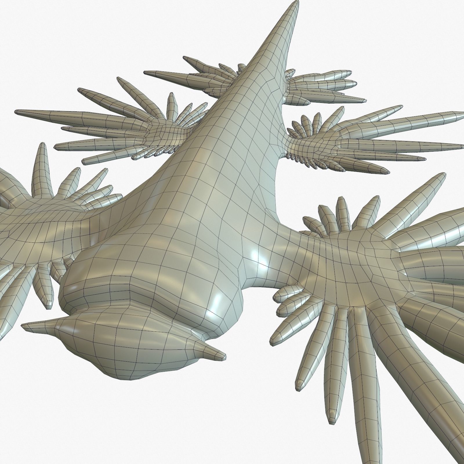 Glaucus atlanticus Low-poly 3D model_15