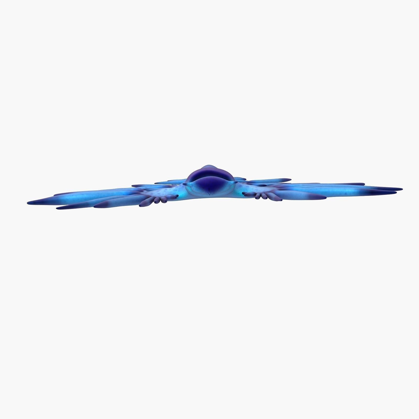 Glaucus atlanticus Low-poly 3D model_2