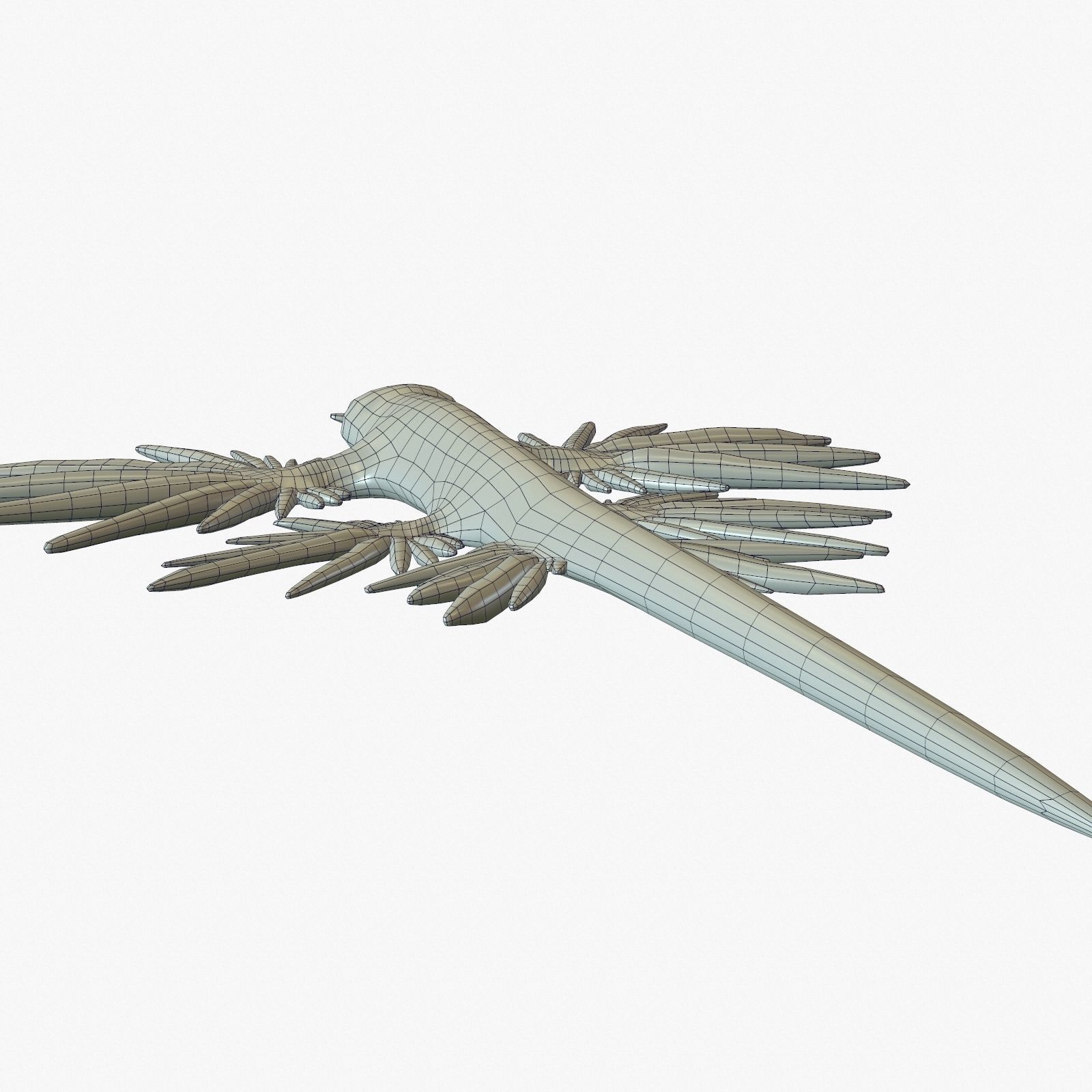 Glaucus atlanticus Low-poly 3D model_16