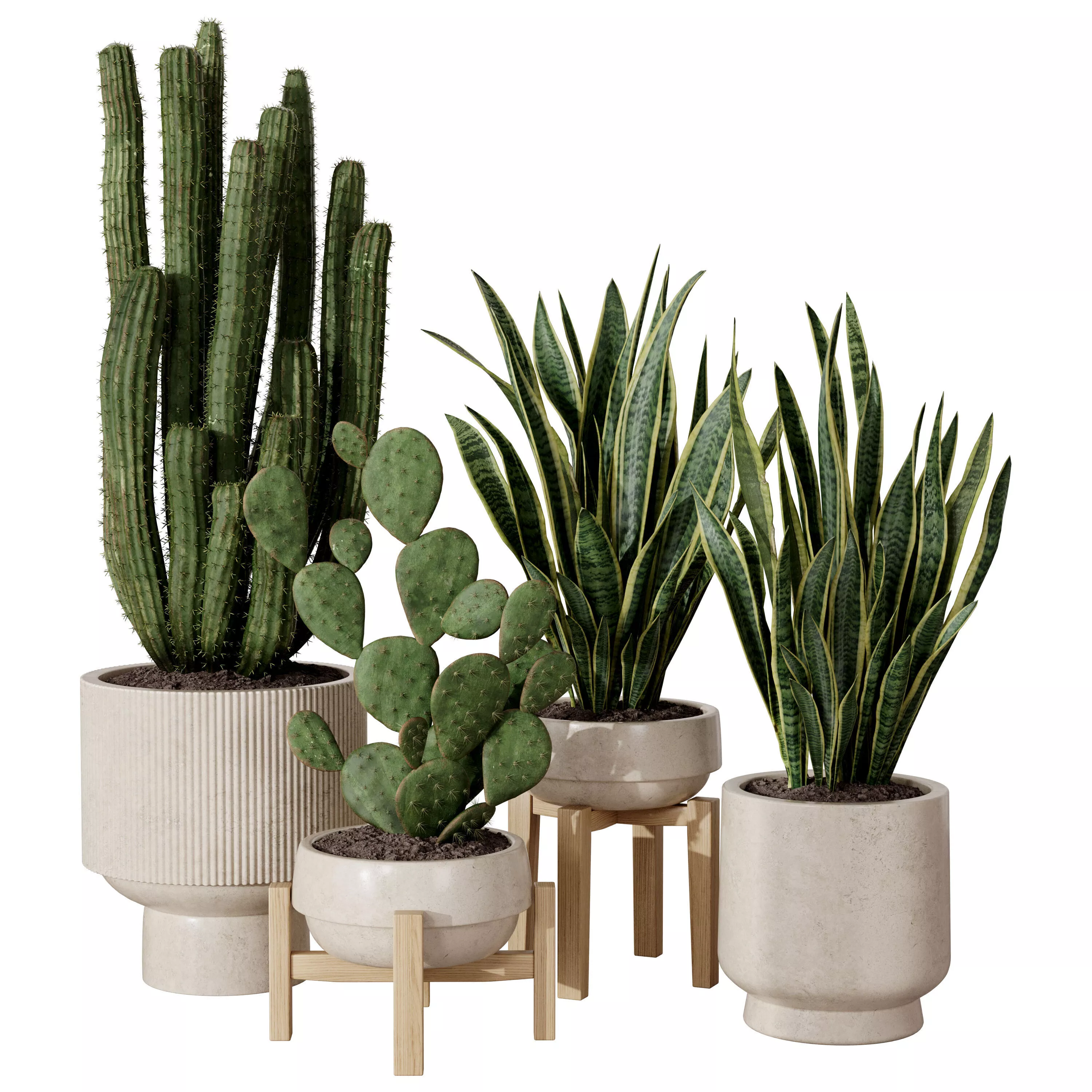 Modern Indoor Cactus and Sansevieria Planter Set 3D model