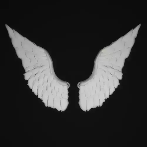 Angel Wings 3D print model