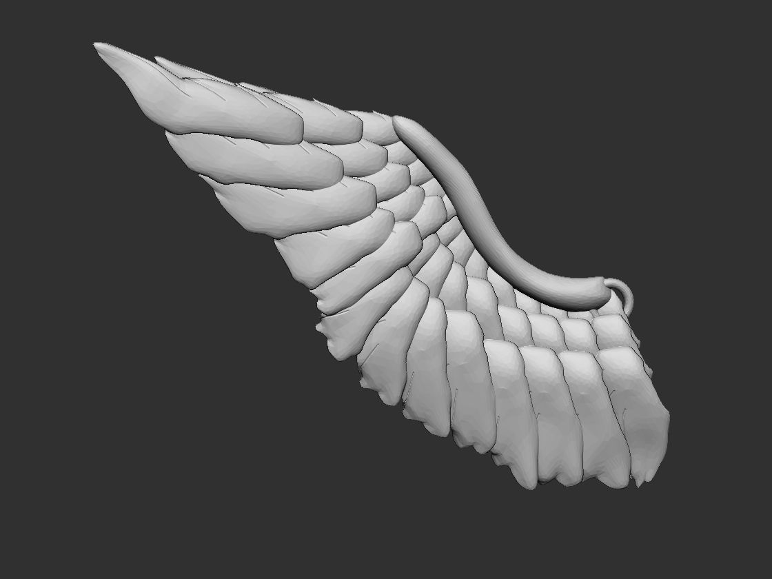 Angel Wings 3D print model_2